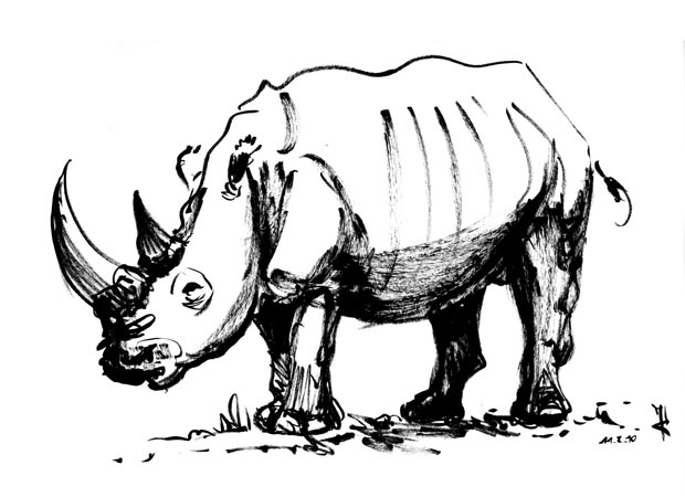 Nashorn